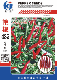 科光种苗“艳椒485”辣椒、“秋实1号”甘蓝分别入选2025年农业主导品种、农作物优良品种推广目录